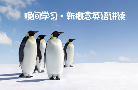 151e2c29-3799-4fa9-be10-66aca1ab4377.jpg